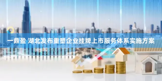 一鼎盈 湖北发布重塑企业挂牌上市服务体系实施方案